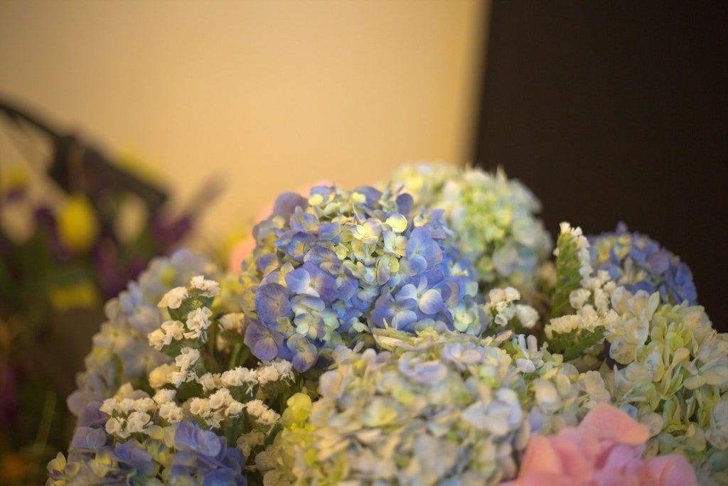MUMBAI IN EMOTION : FLORAL INSTALLATION BY NAZNEEN JEHANGIR